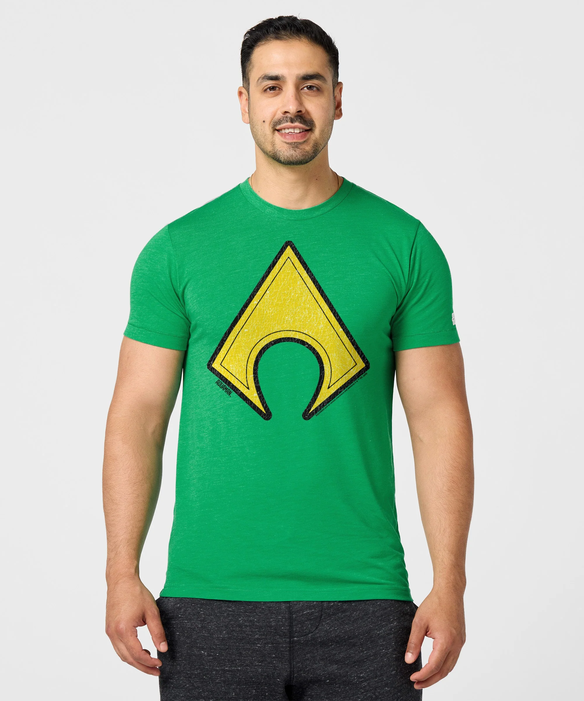 Aquaman Logo - Image 3