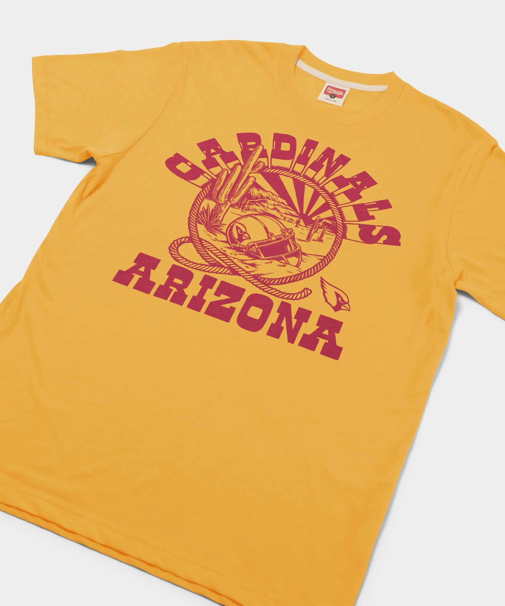 Arizona Cardinals Desert Landscape - Image 2