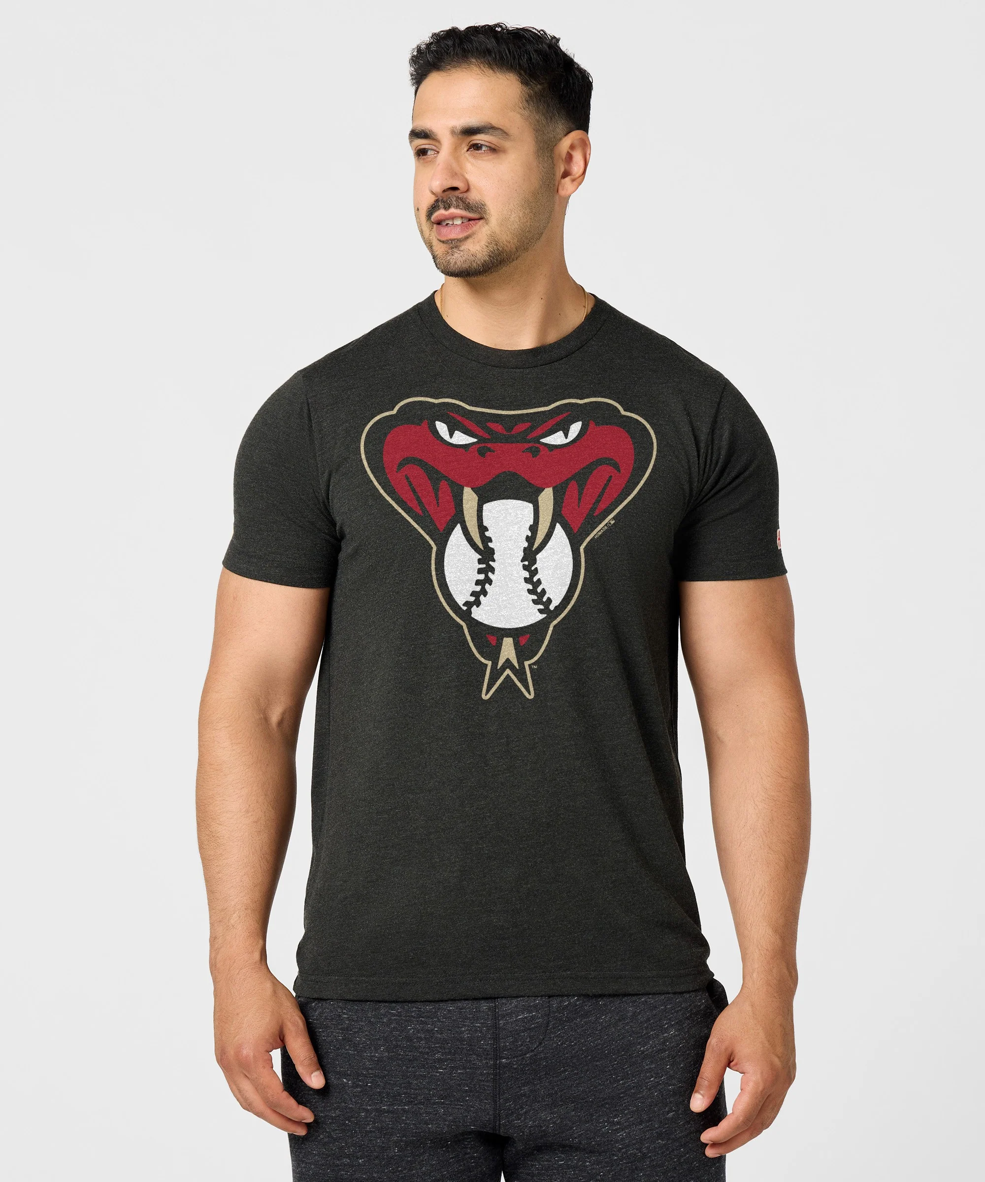Arizona Diamondbacks Alt Logo '16 - Image 3