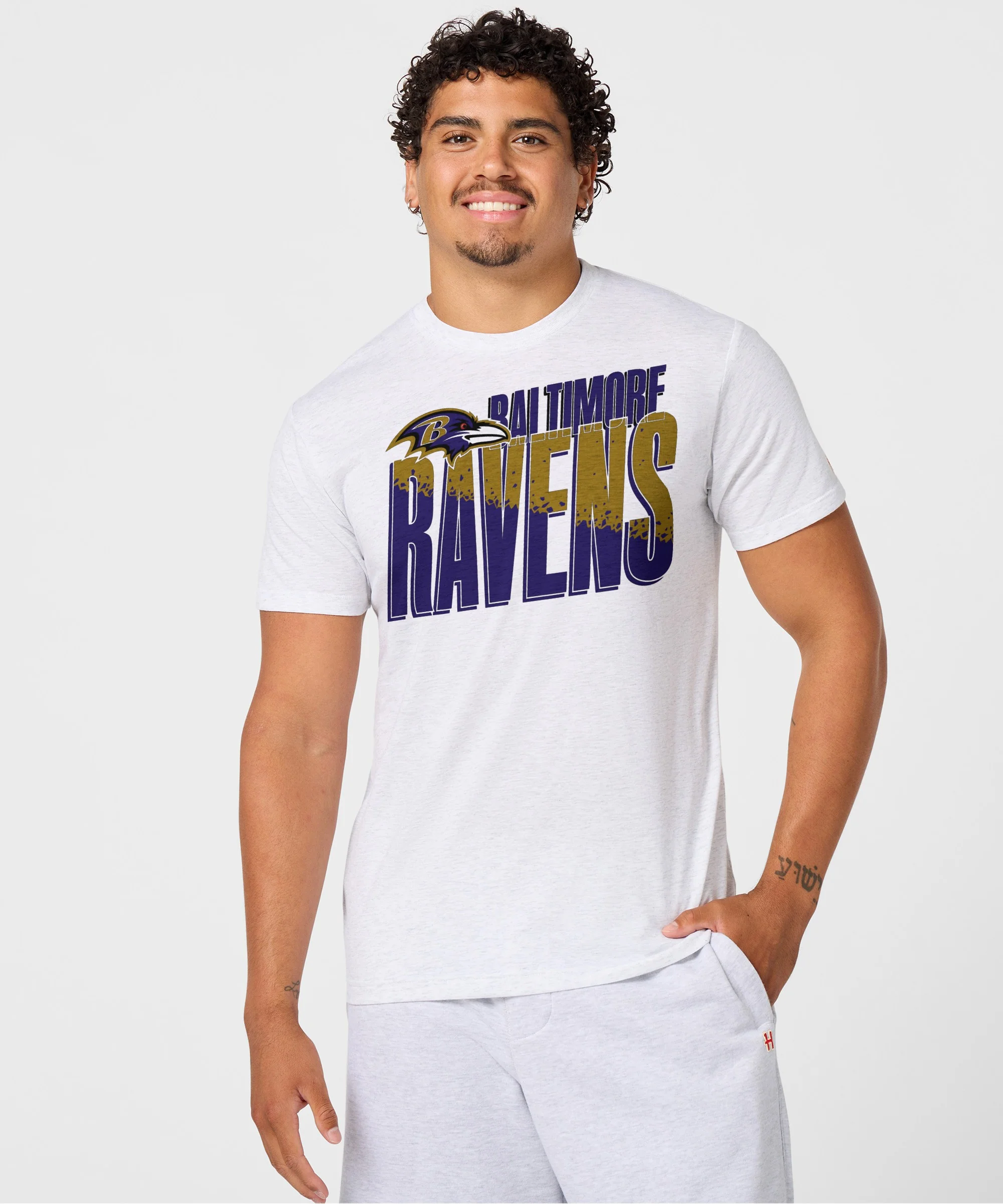 Baltimore Ravens Color Splash - Image 3
