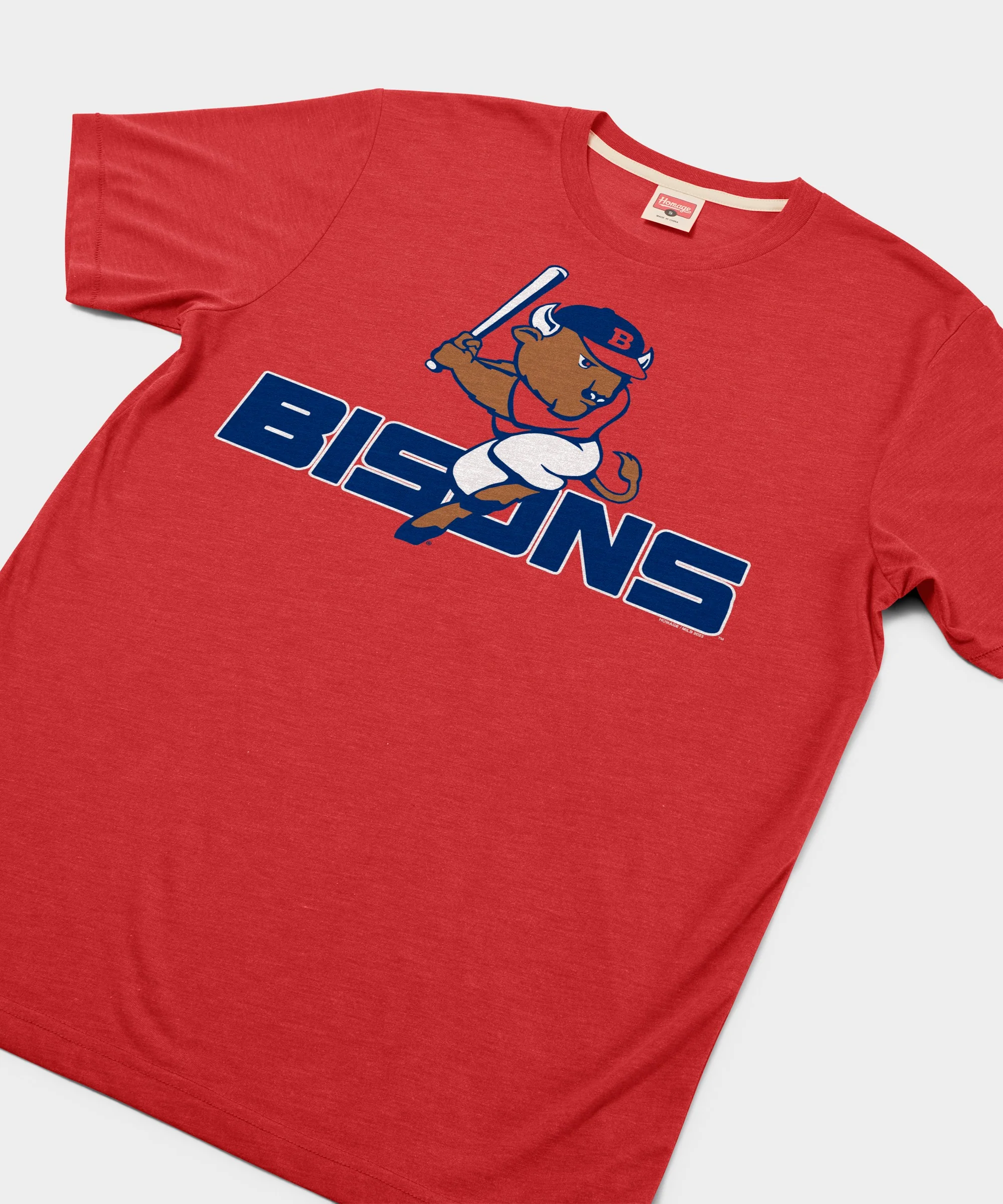 Buffalo Bisons - Image 2