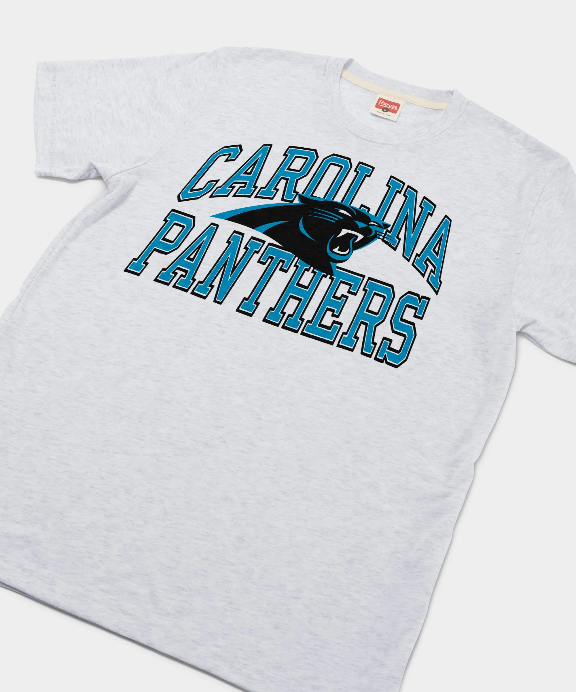 Carolina Panthers Arch - Image 2