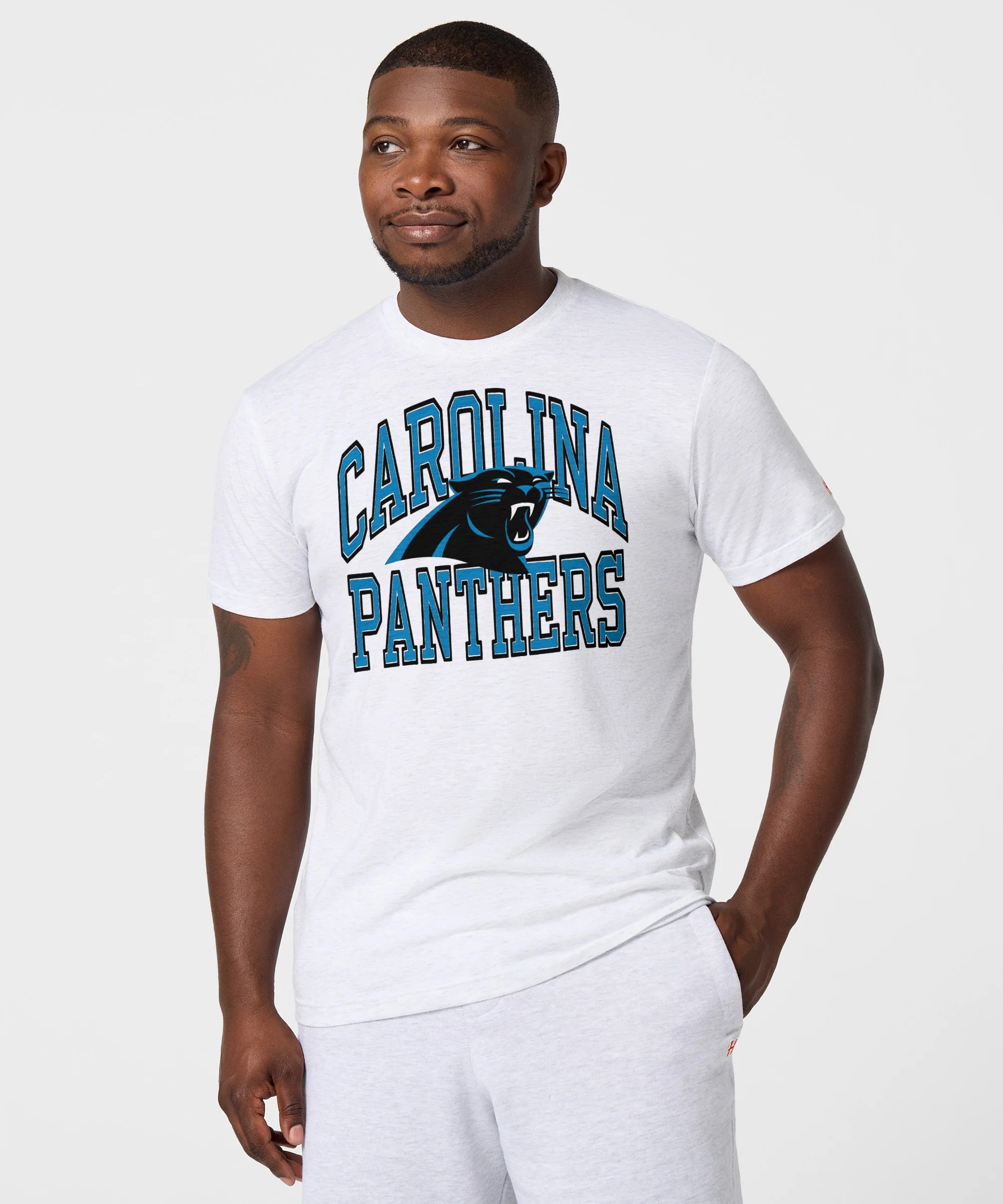 Carolina Panthers Arch - Image 3