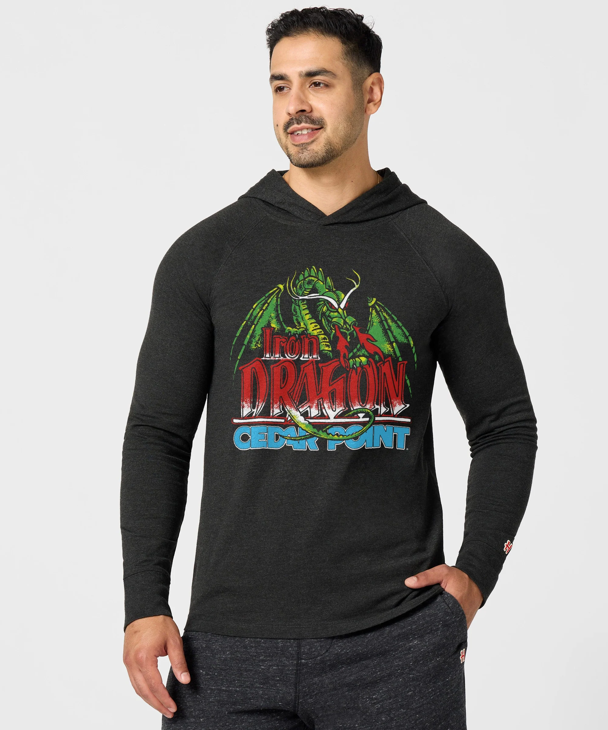 Cedar Point Iron Dragon Lightweight Hoodie - Image 3