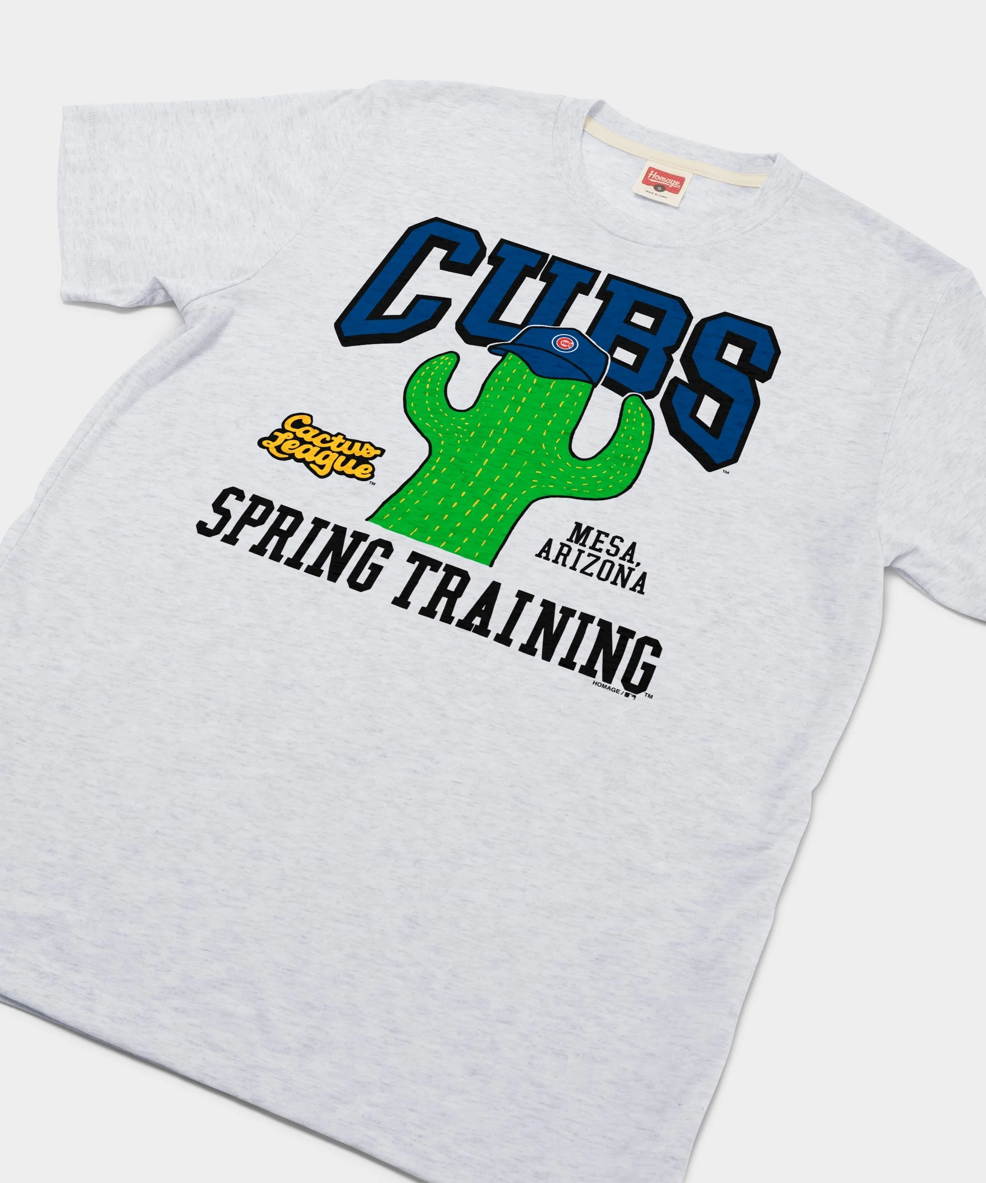 Chicago Cubs Cactus League - Image 2