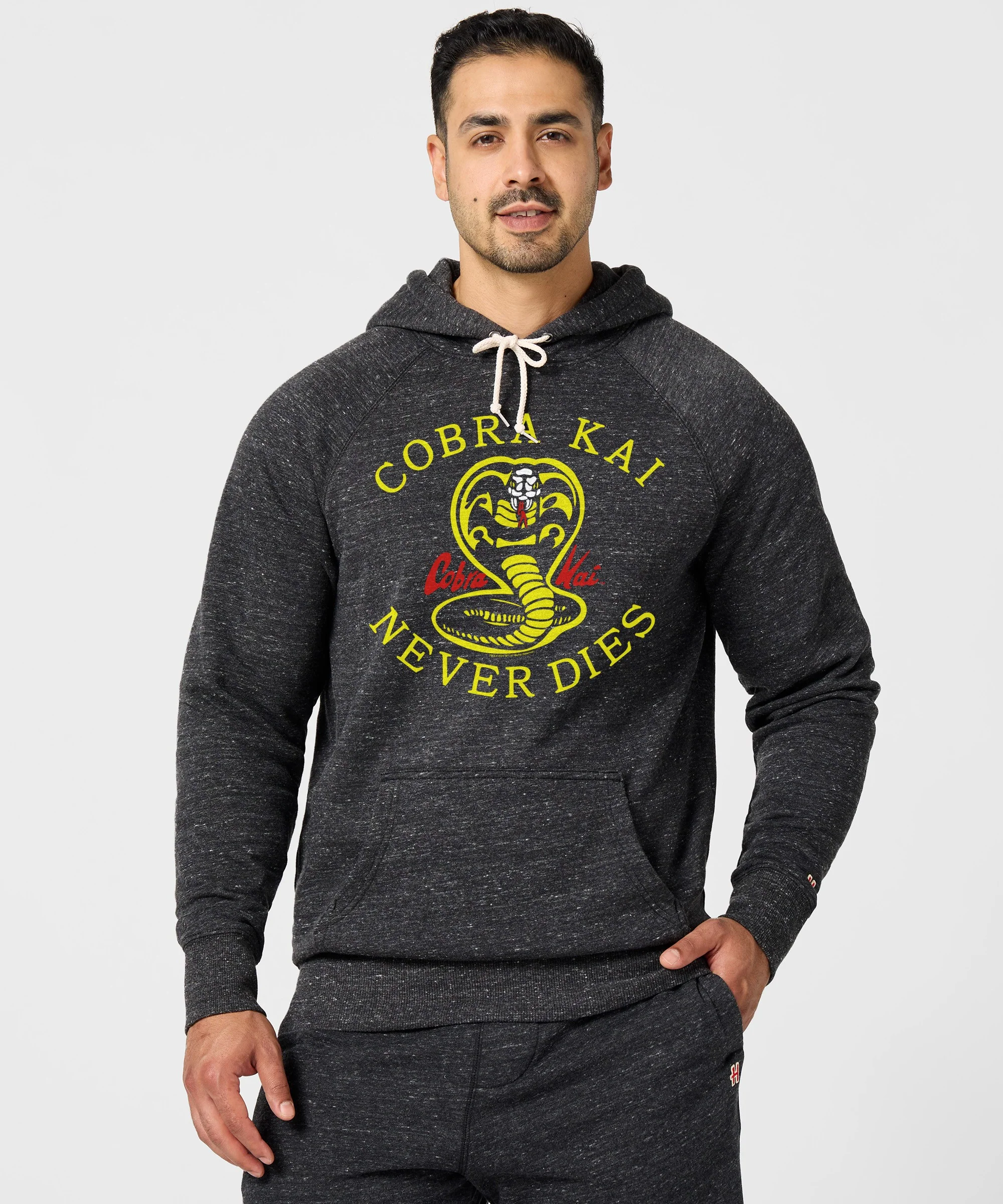 Cobra Kai Never Dies Hoodie - Image 3