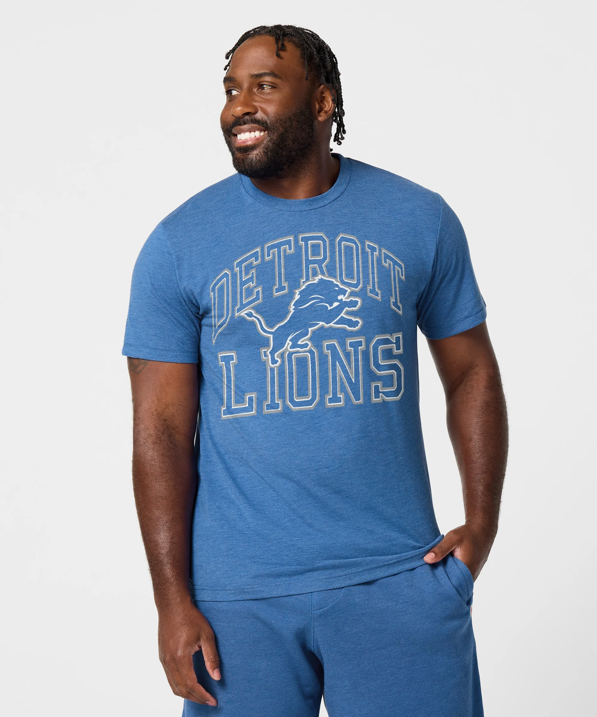 Detroit Lions Arch - Image 3