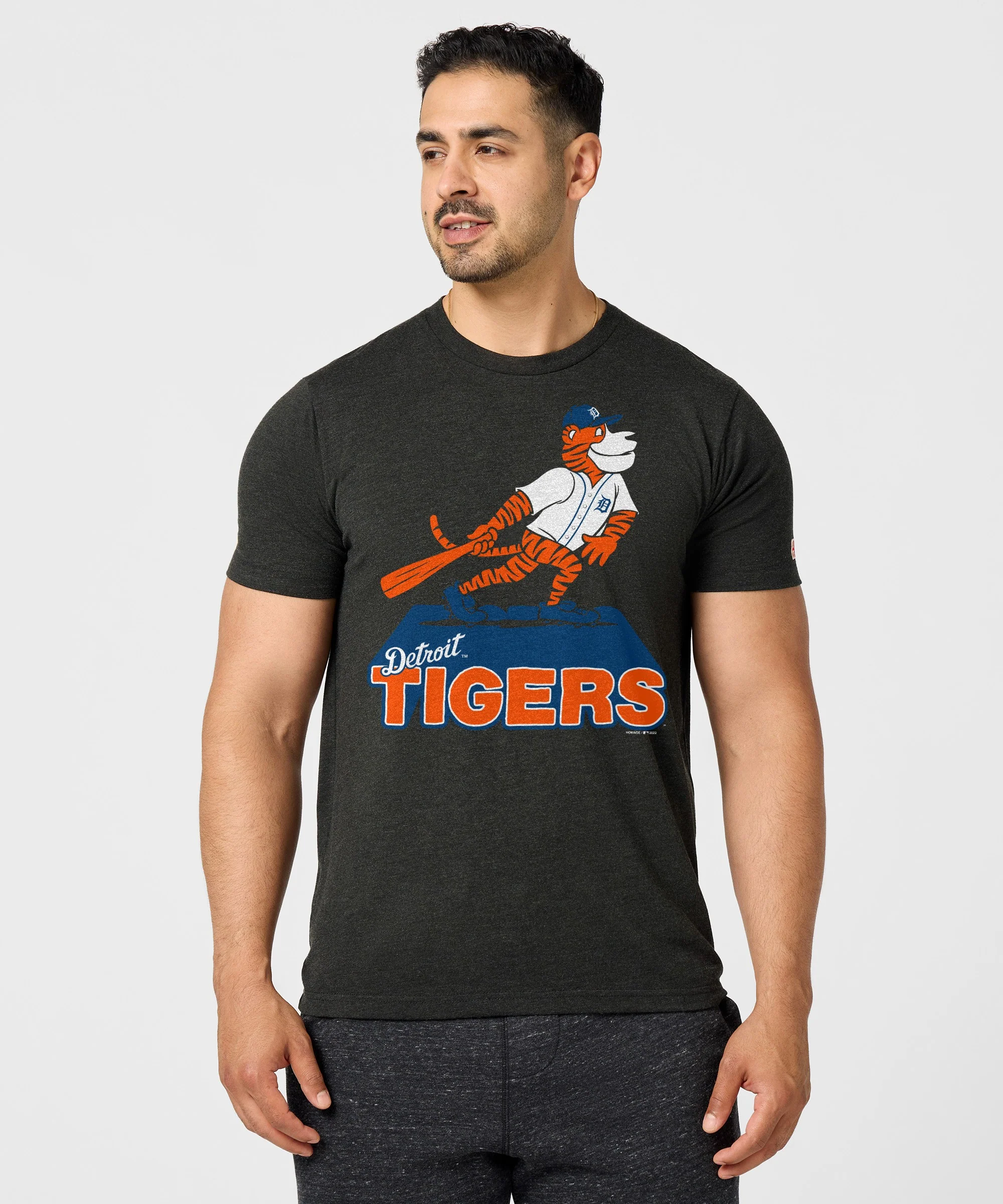 Detroit Tigers PAWS - Image 3
