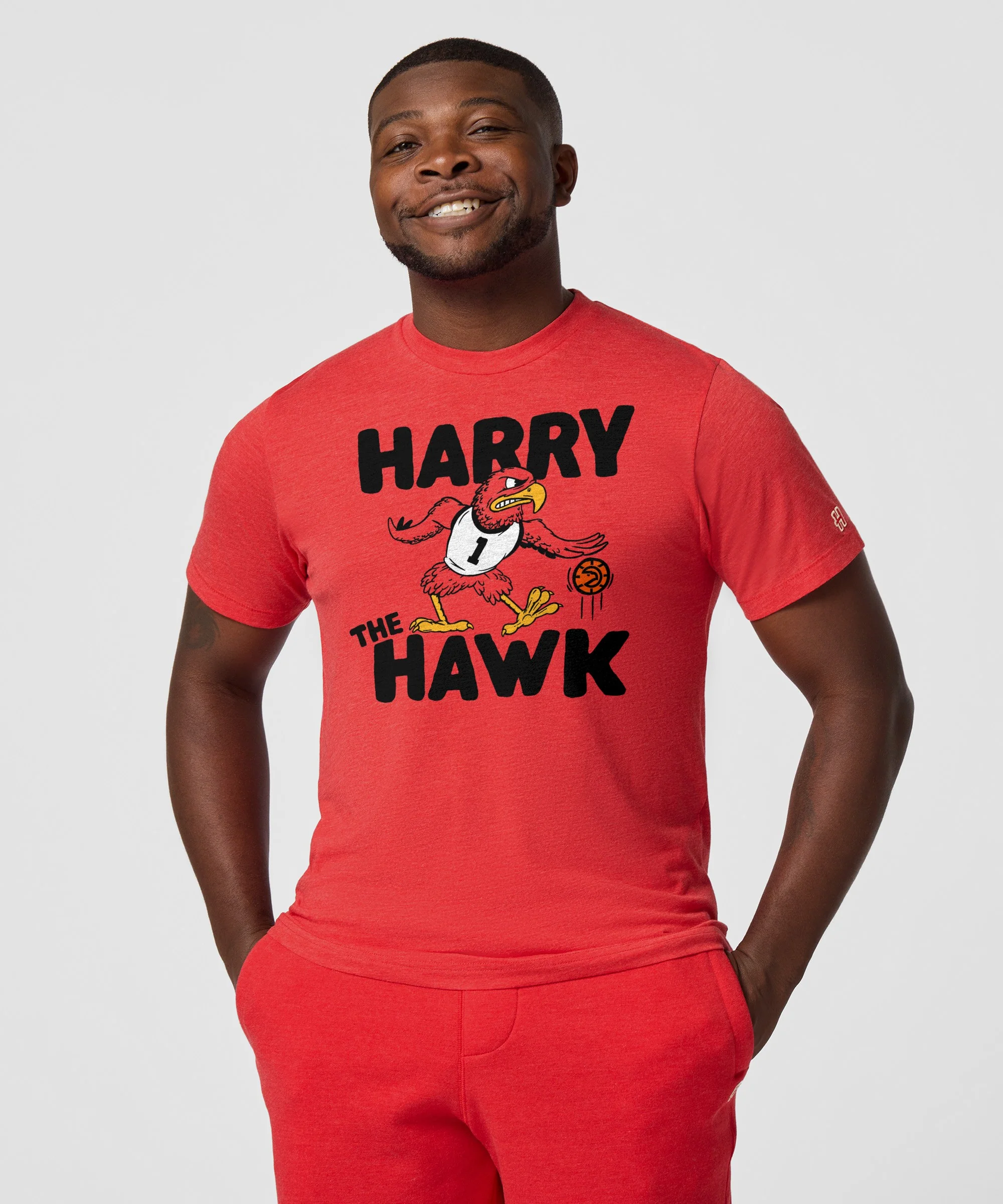 Harry The Hawk - Image 3