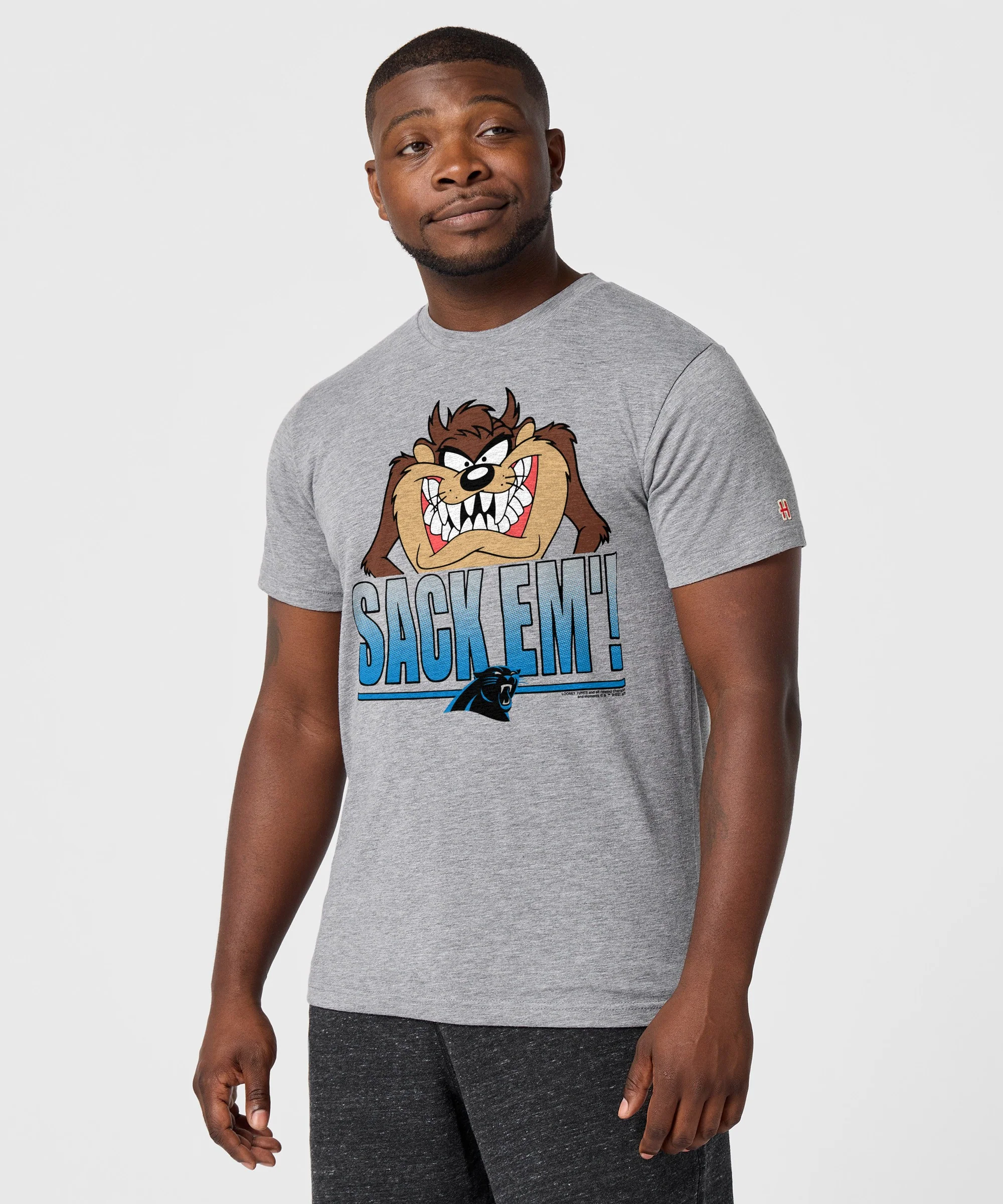 Looney Tunes Taz Sack Em' x Carolina Panthers - Image 3