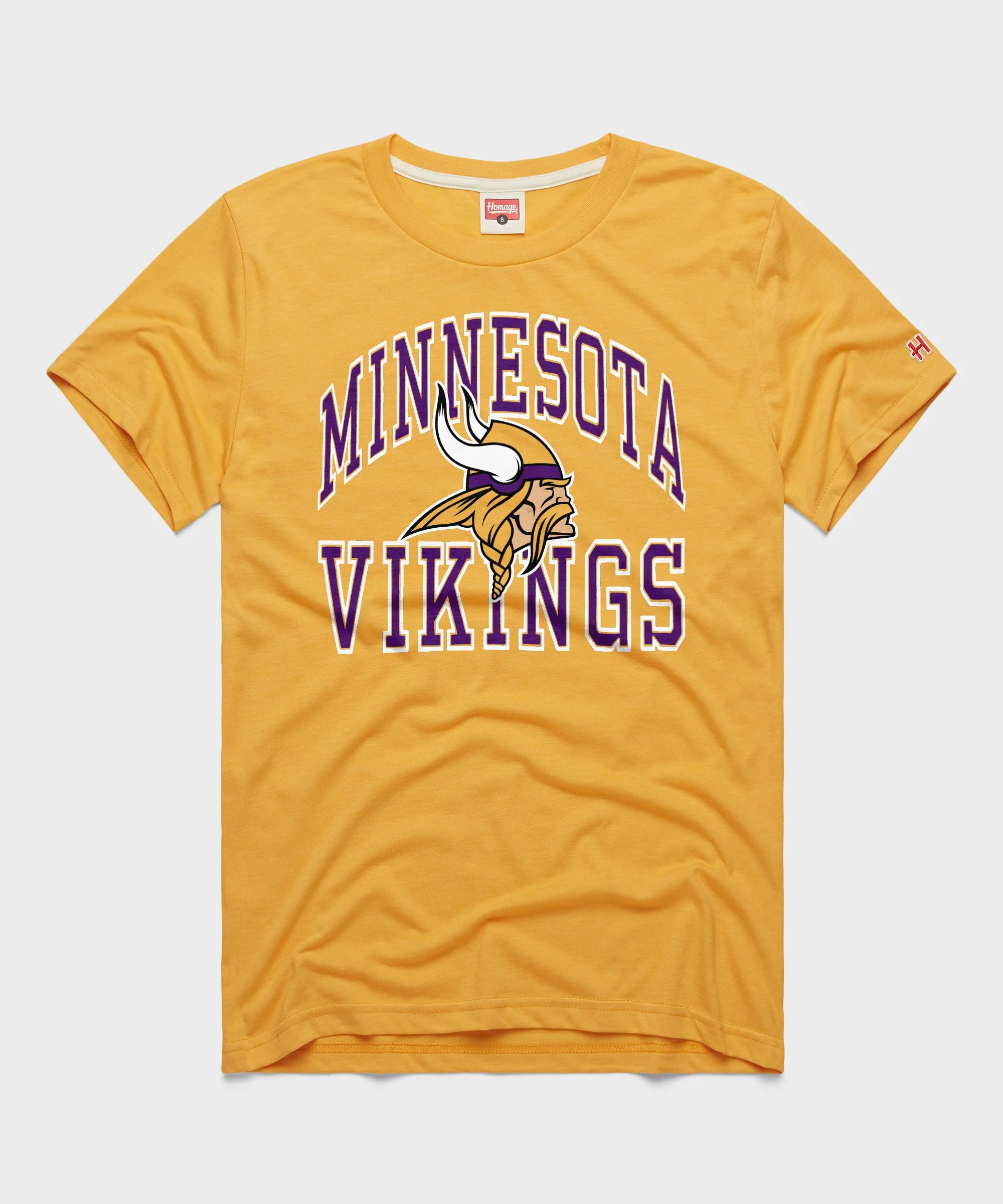 Minnesota Vikings Arch
