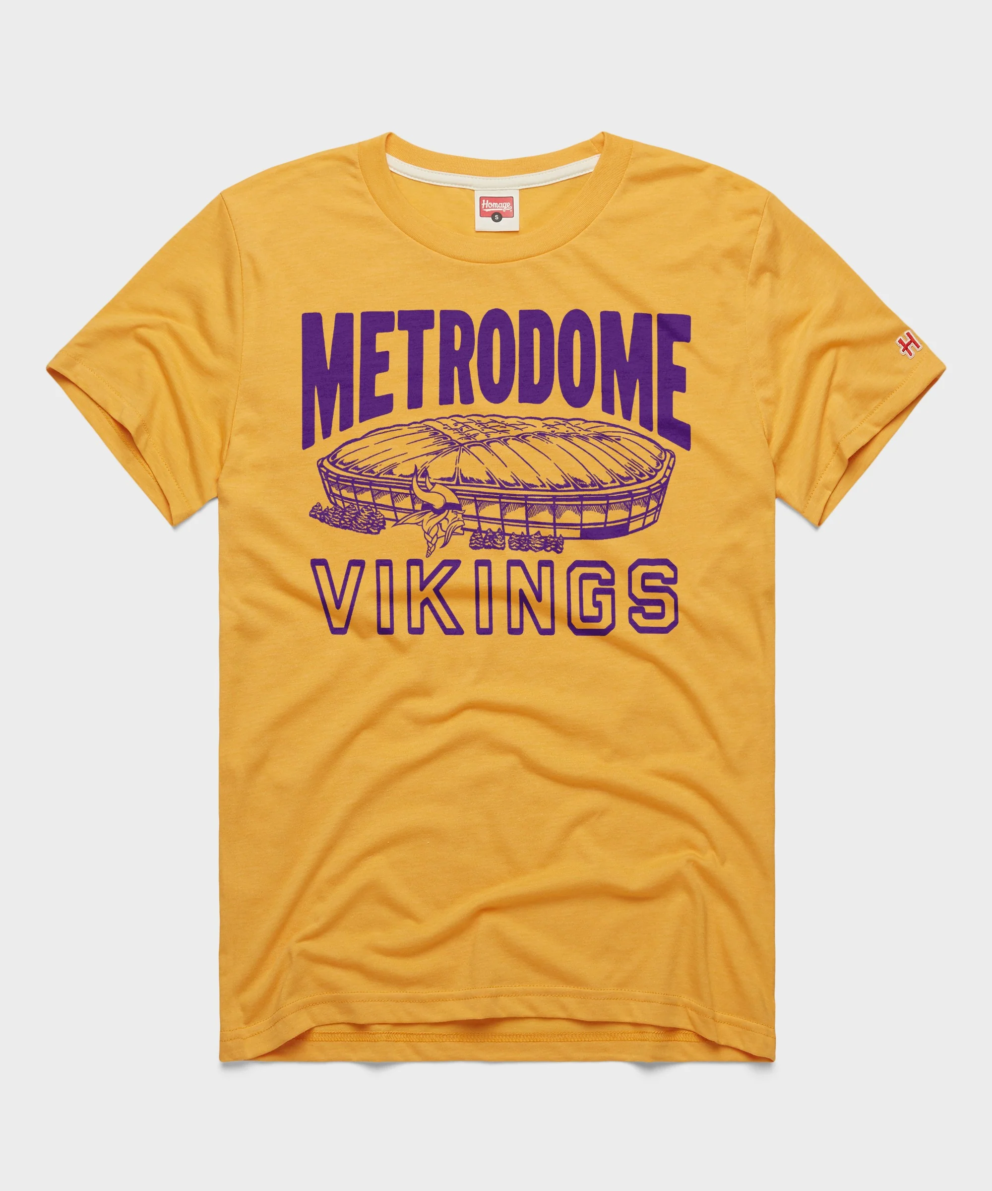 Minnesota Vikings Metrodome
