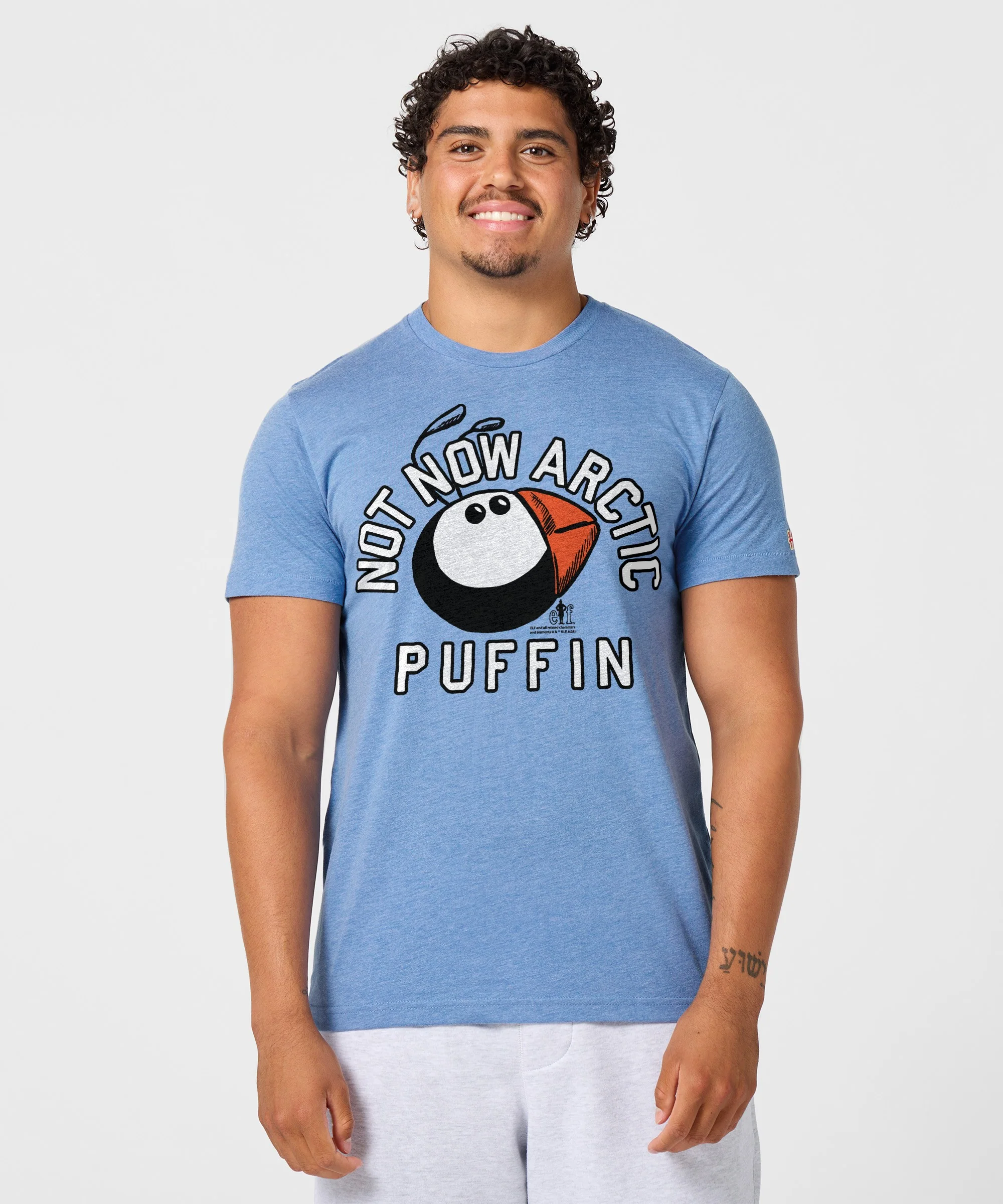 Not Now Arctic Puffin - Image 3