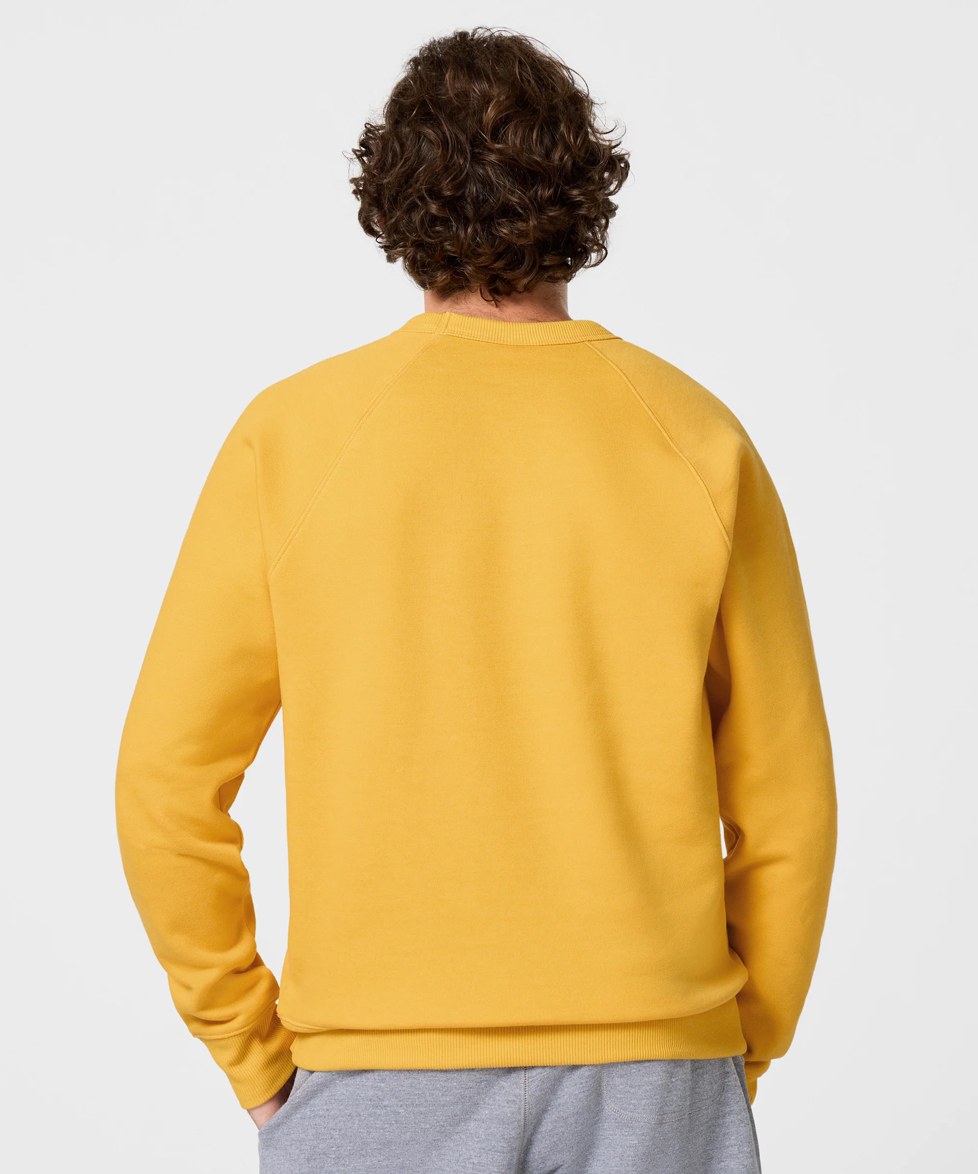 Olympic National Park Crewneck - Image 4