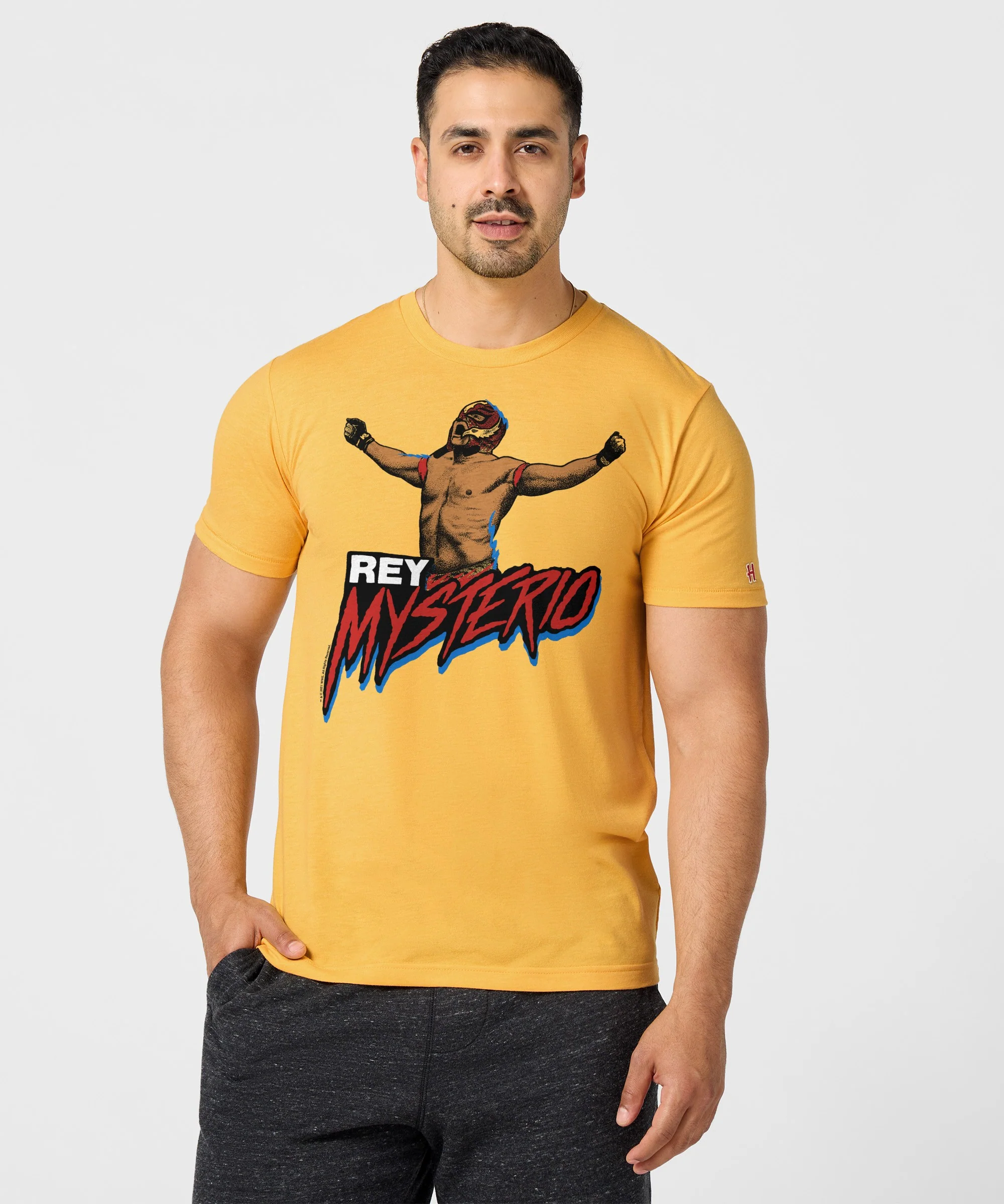 Rey Mysterio Victory - Image 3