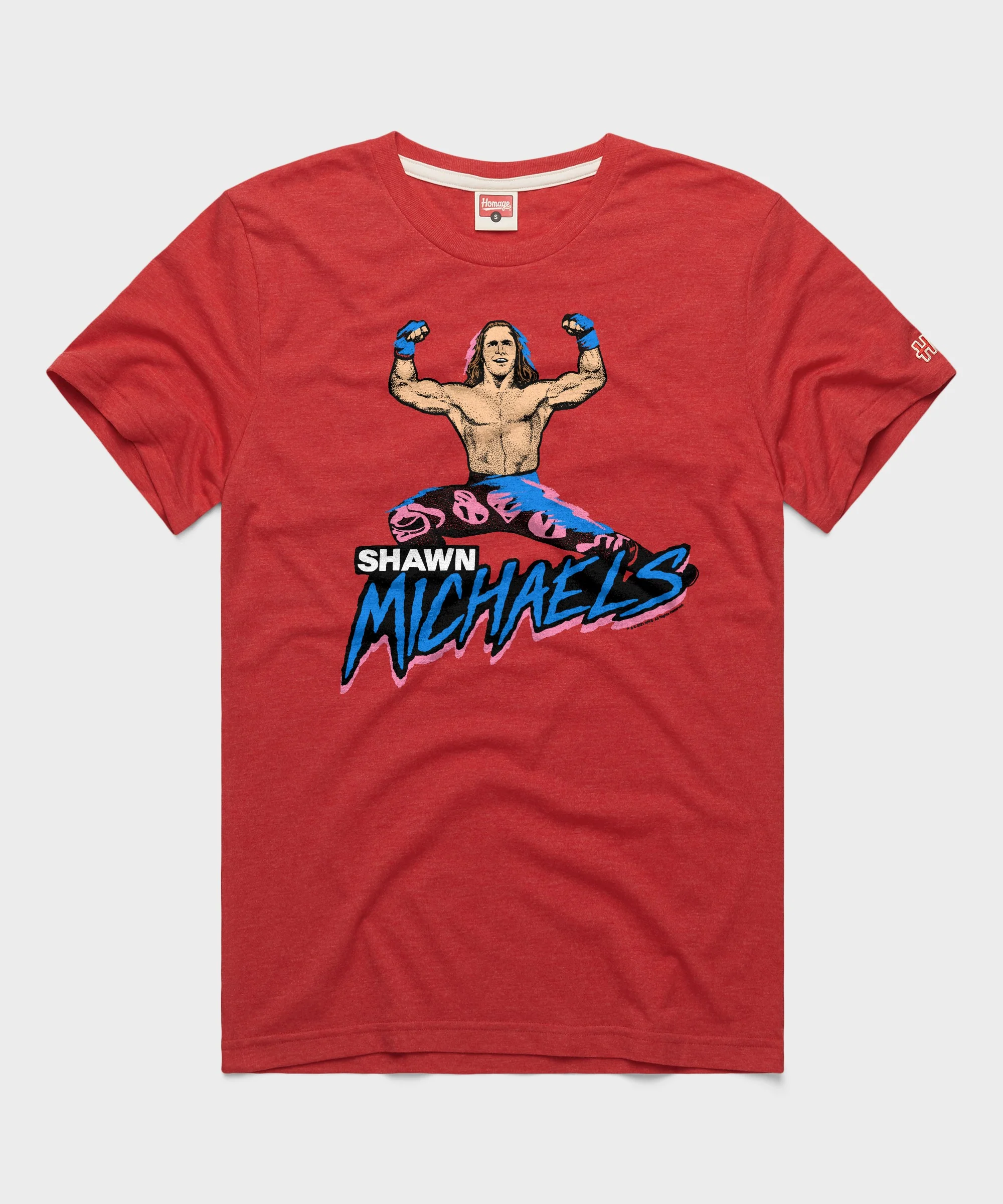 Shawn Michaels Victory