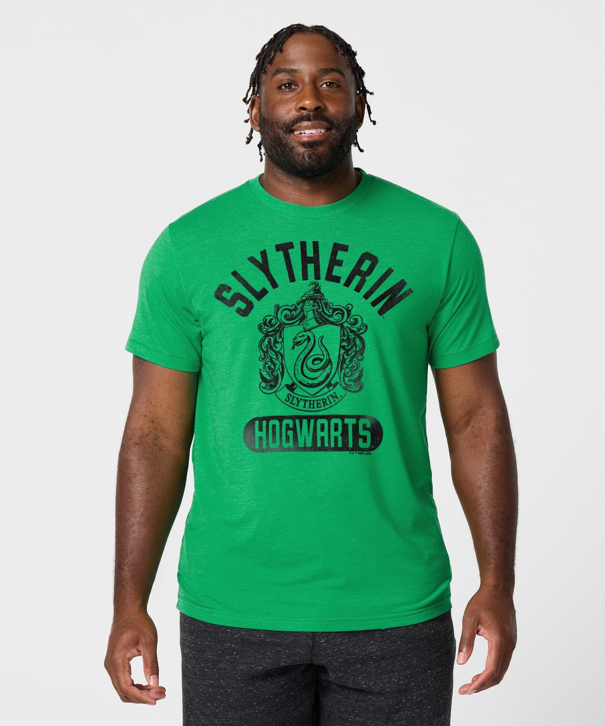 Slytherin Crest - Image 3