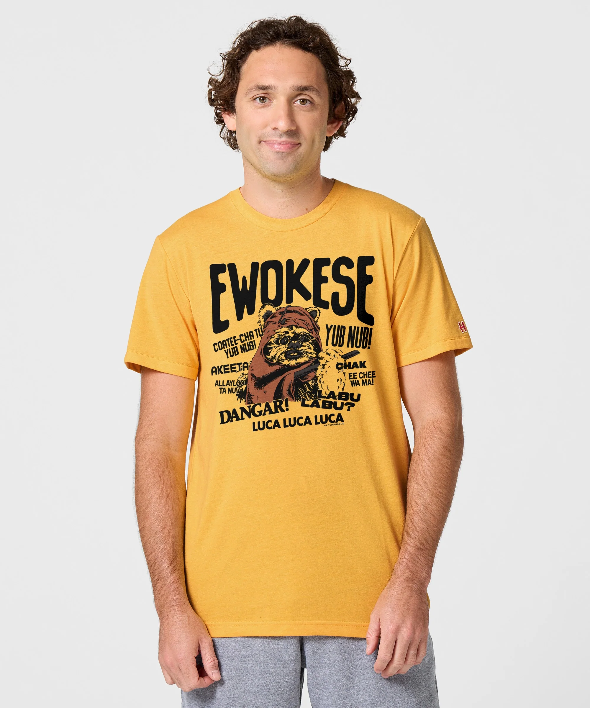 Star Wars Ewokese - Image 3