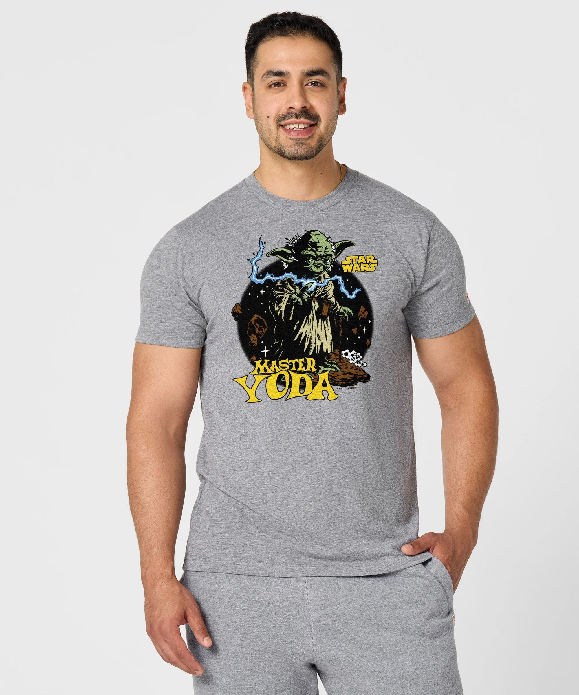 Star Wars Master Yoda - Image 3