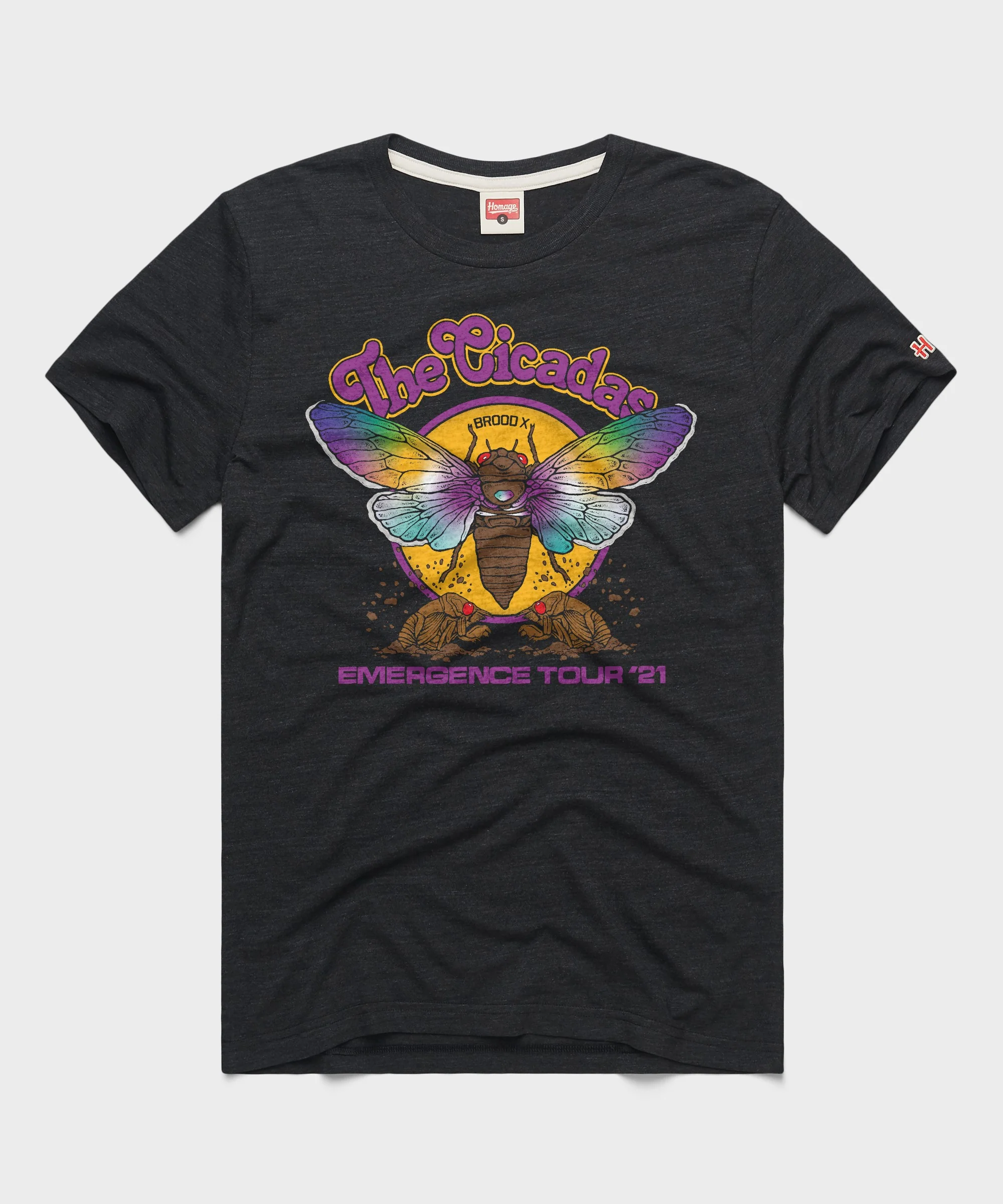 The Cicadas Emergence Tour 2021