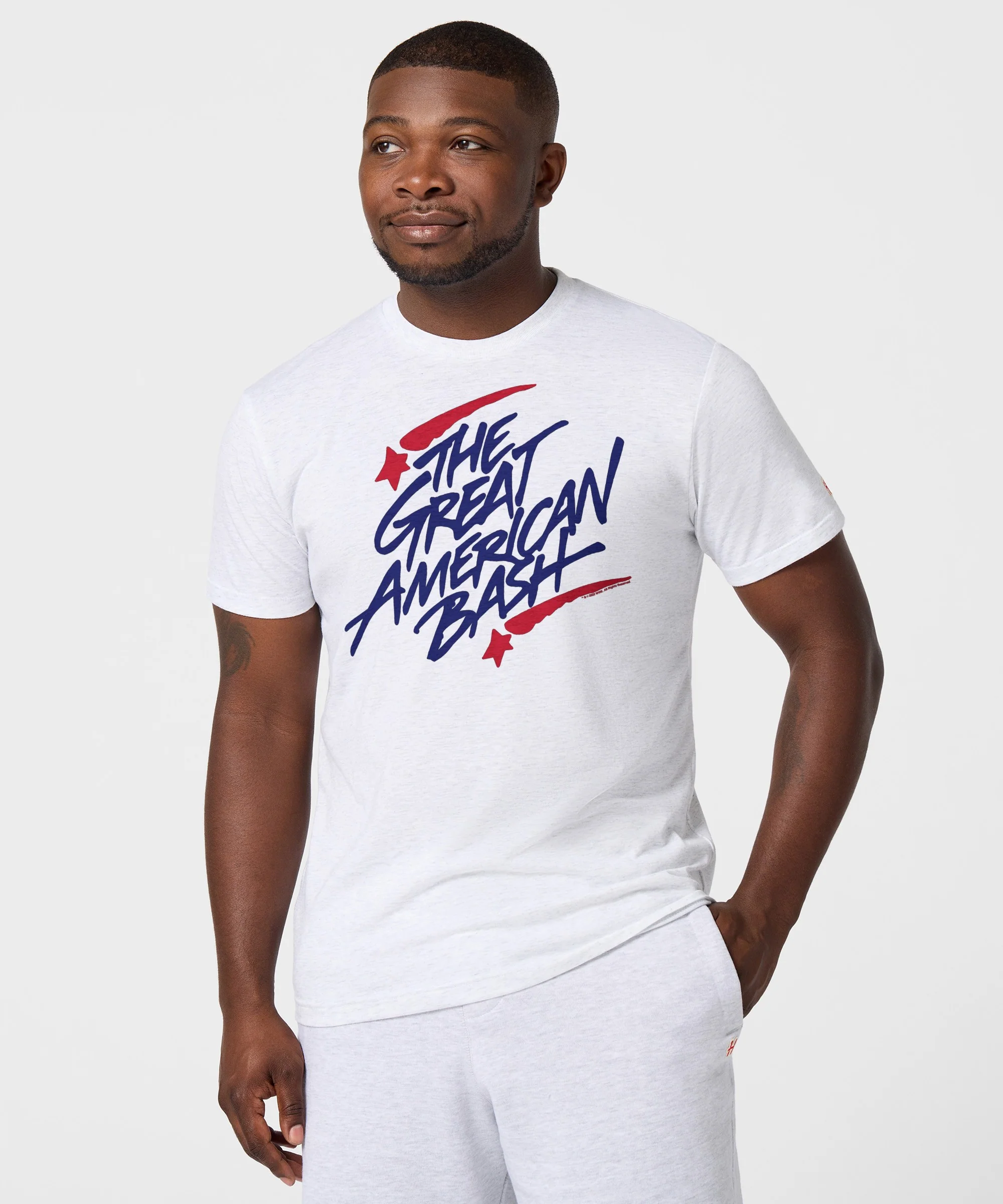 The Great American Bash - Image 3