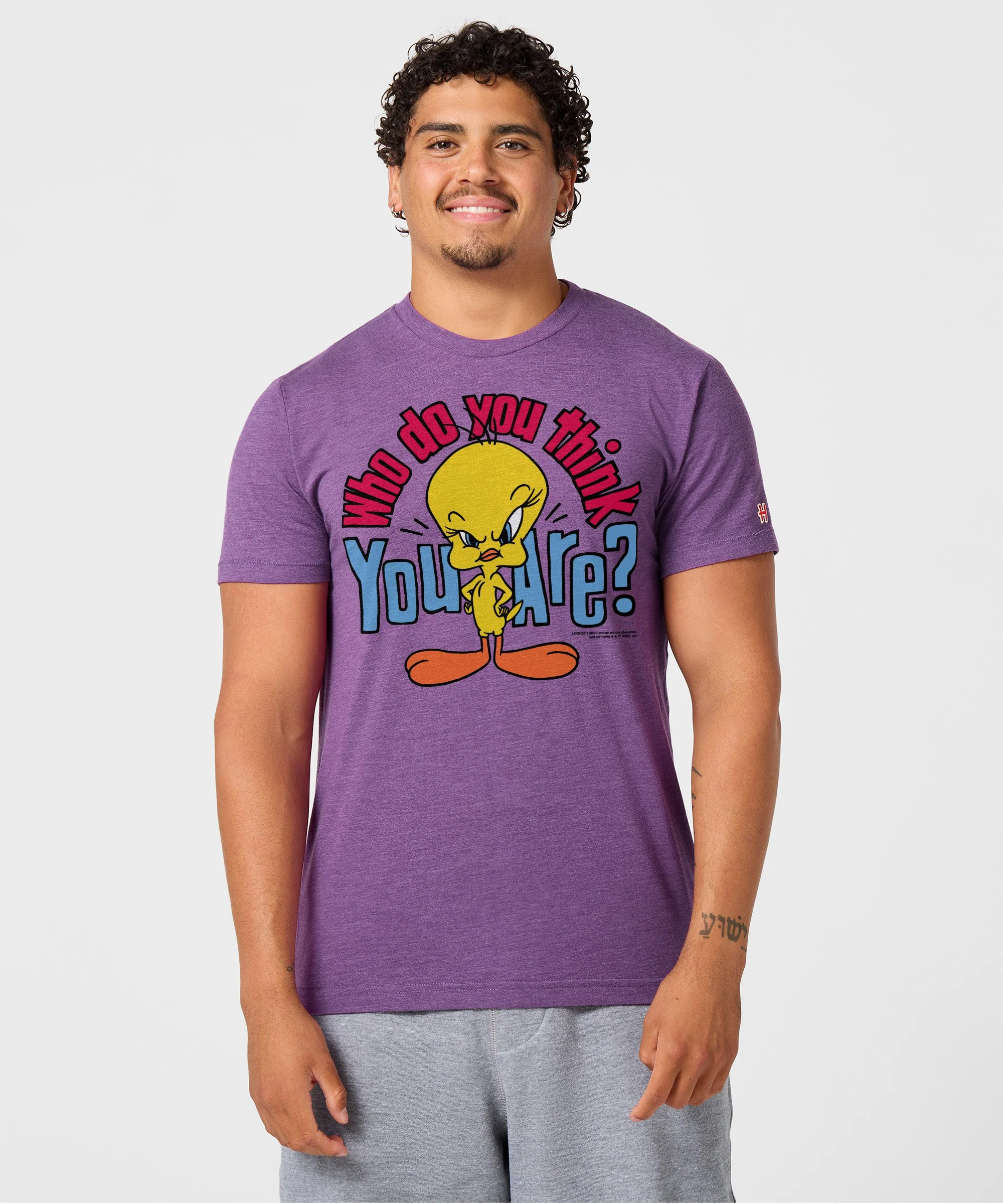 Tweety Bird Who Do You Think You Are? - Image 3