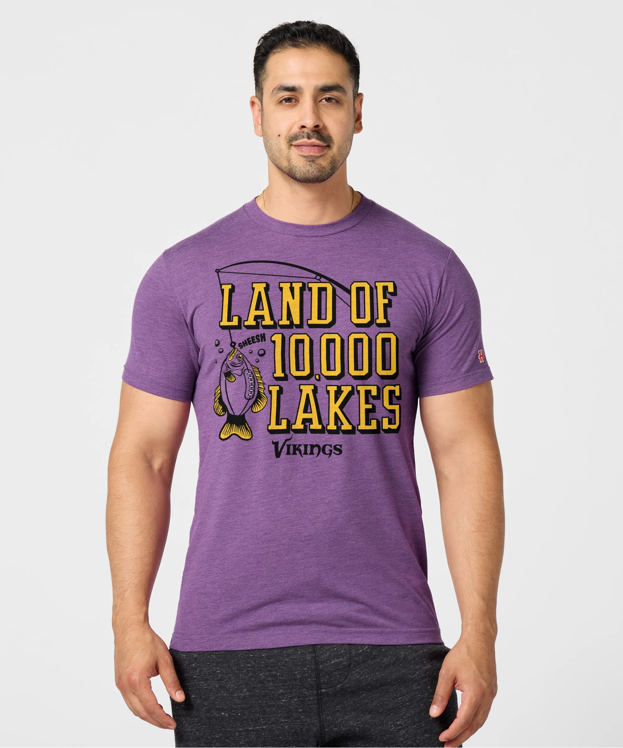 Vikings Land Of 10,000 Lakes - Image 3