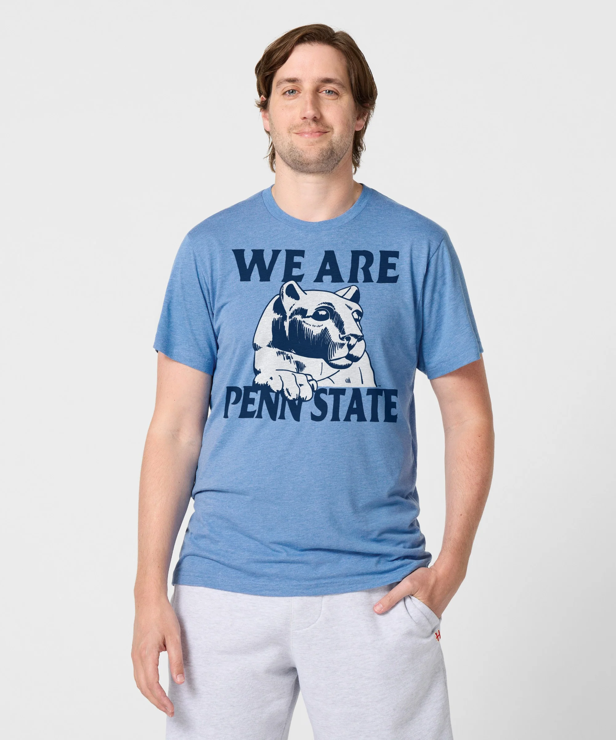 We Are Penn State Lions - Image 3