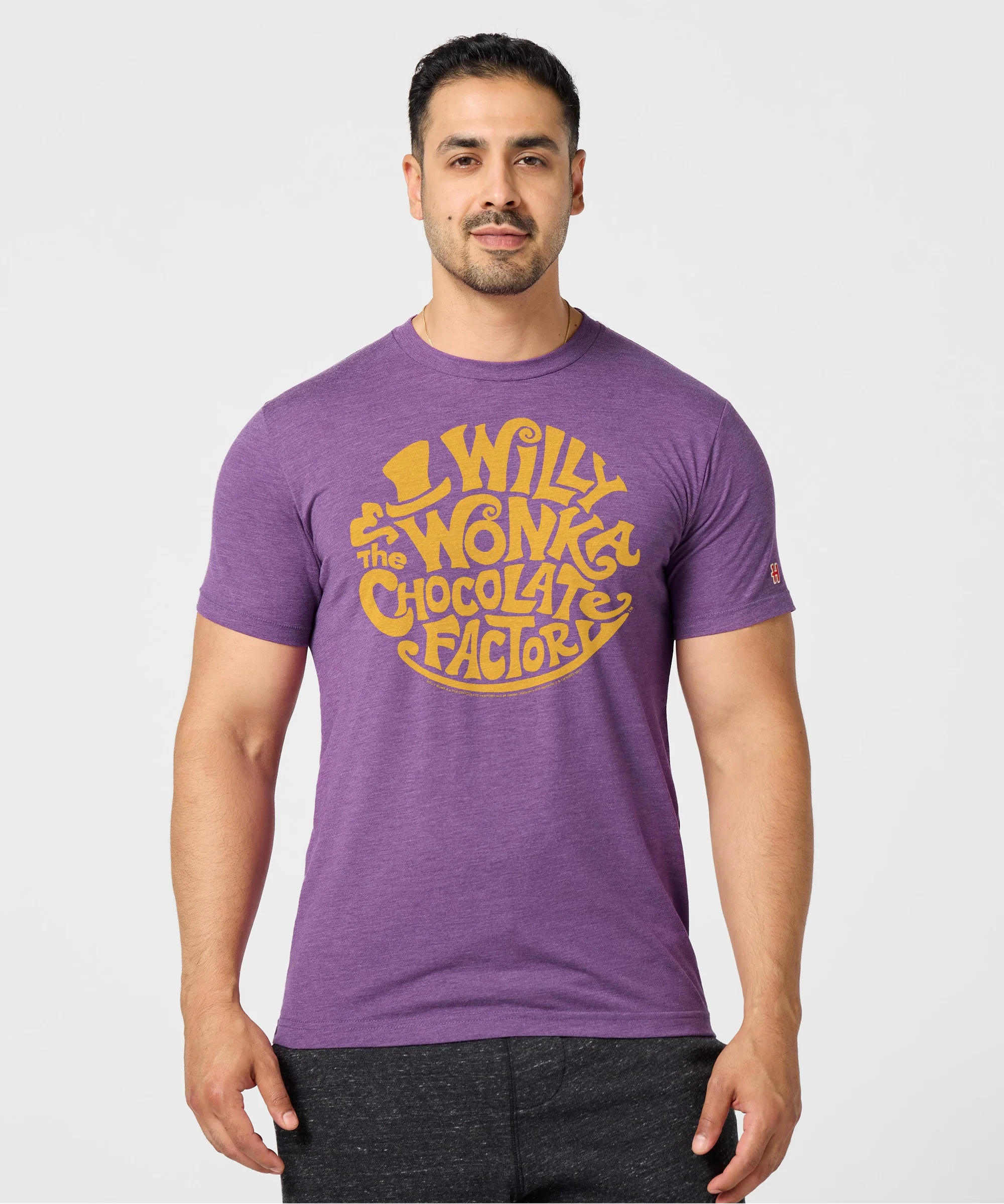 Willy Wonka And The Chocolate Factory - Image 3