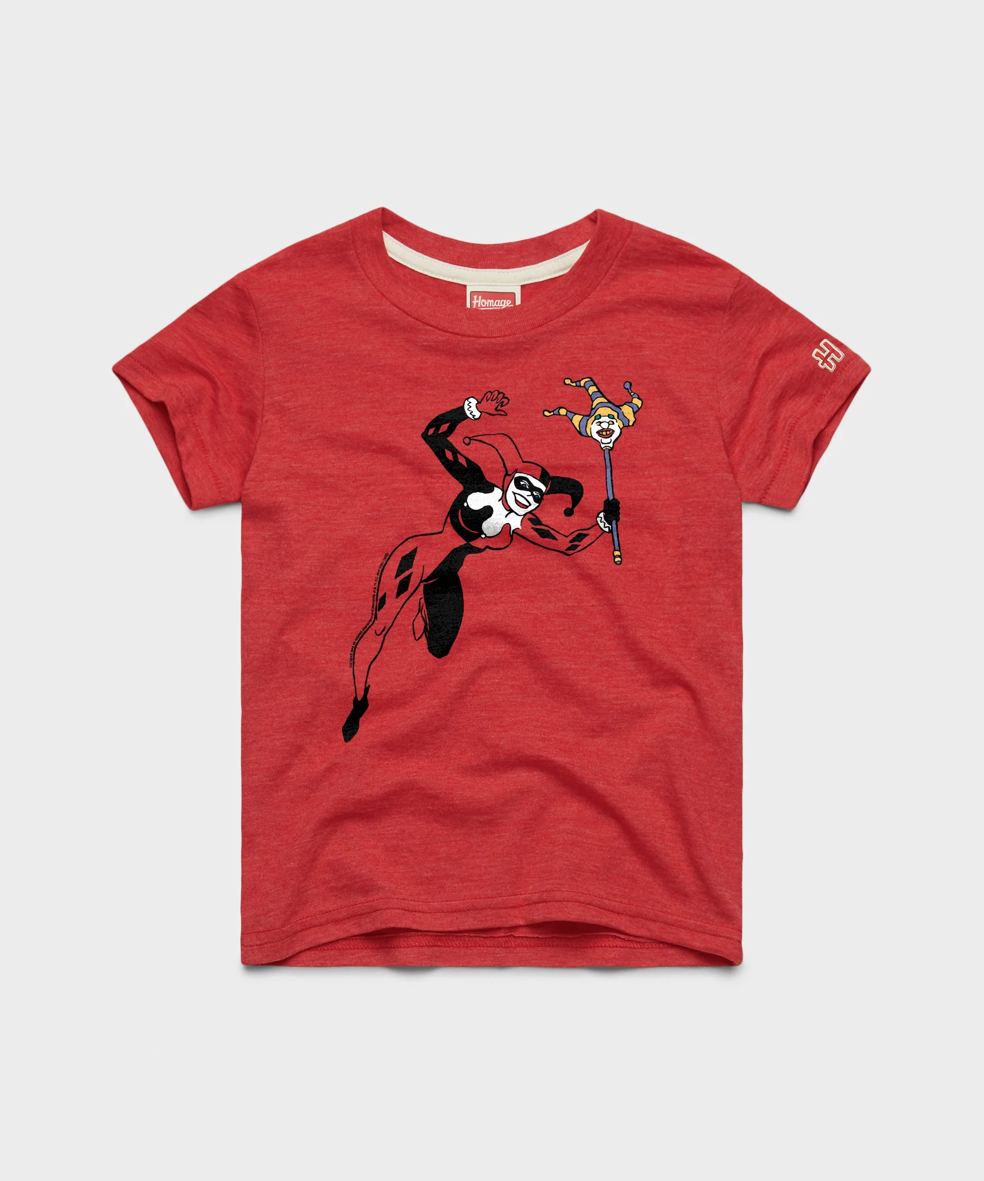 Youth Batman Harley Quinn Character