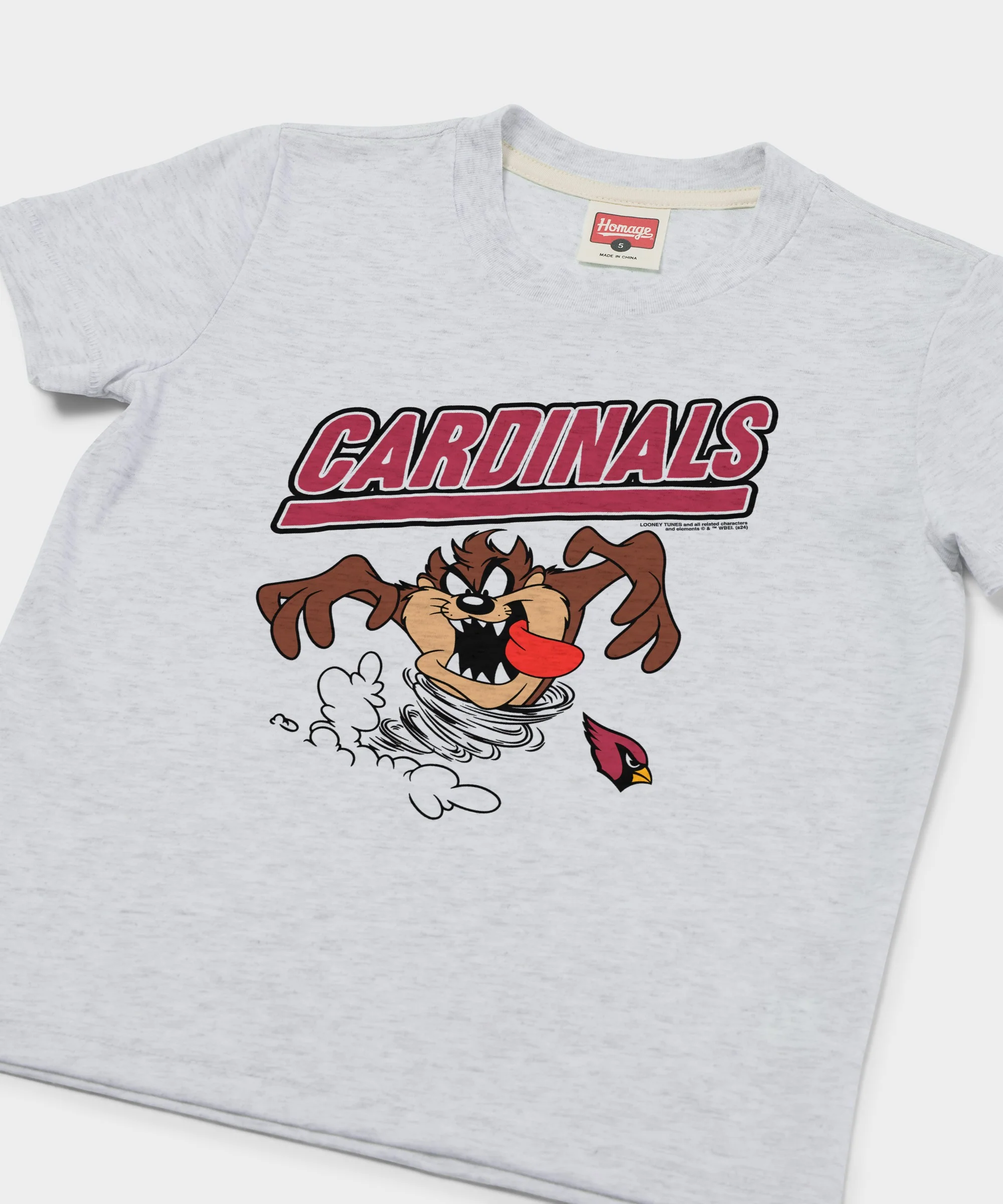 Youth Looney Tunes Taz x Arizona Cardinals - Image 2